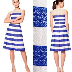 Tadashi Shoji Striped Daisy Chain Lace Dress Blue White Size 8  Fit & Flare